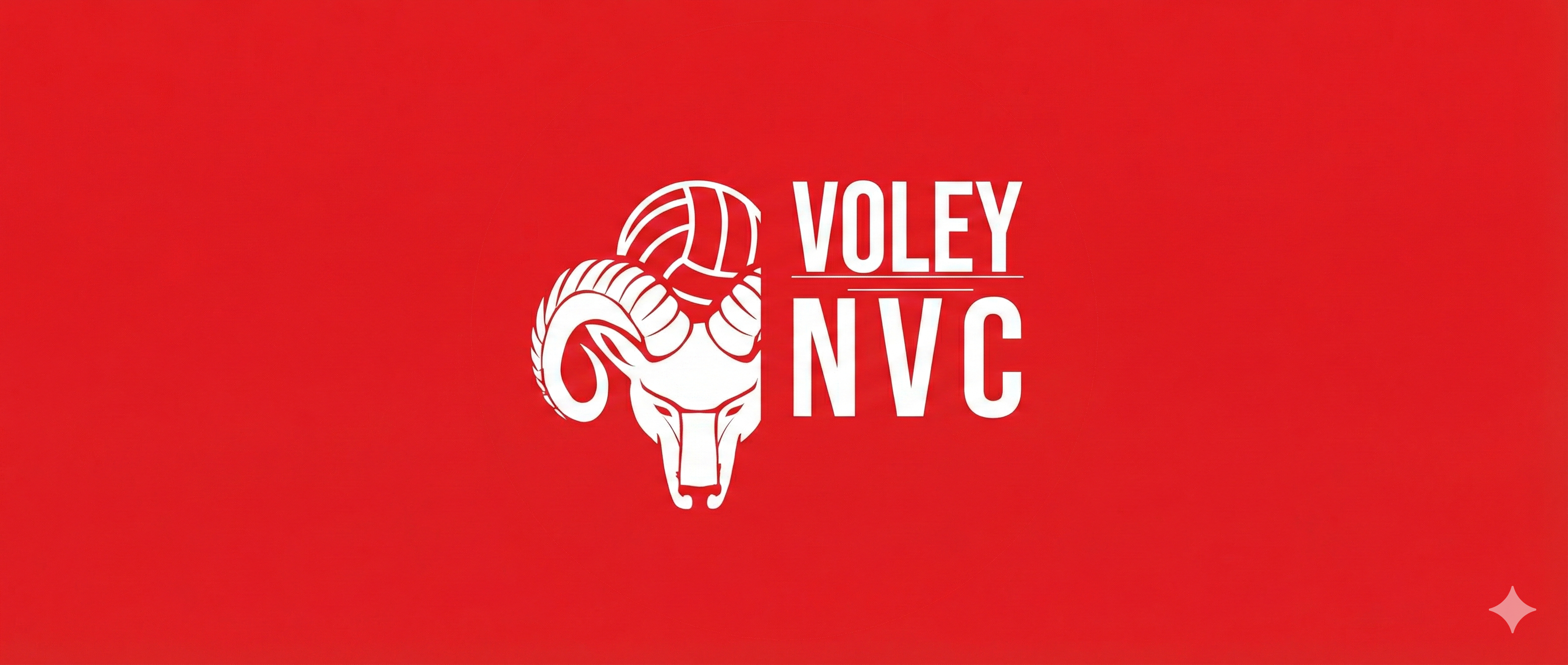 Logo CV Navalcarnero